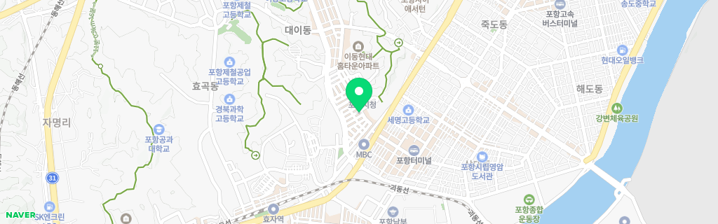 포항 대이 네이버 지도