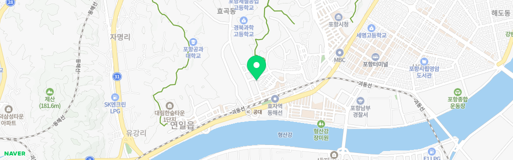 포항 효곡 네이버 지도