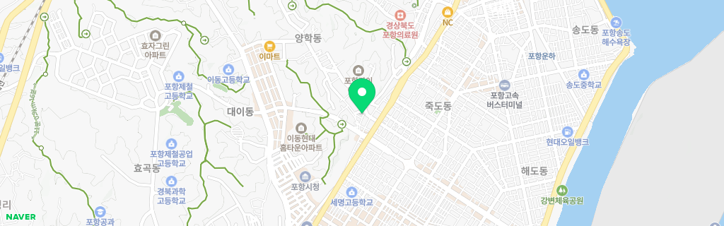 포항 양학 네이버 지도