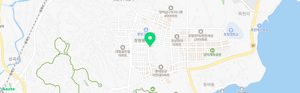 포항 장량 네이버 지도