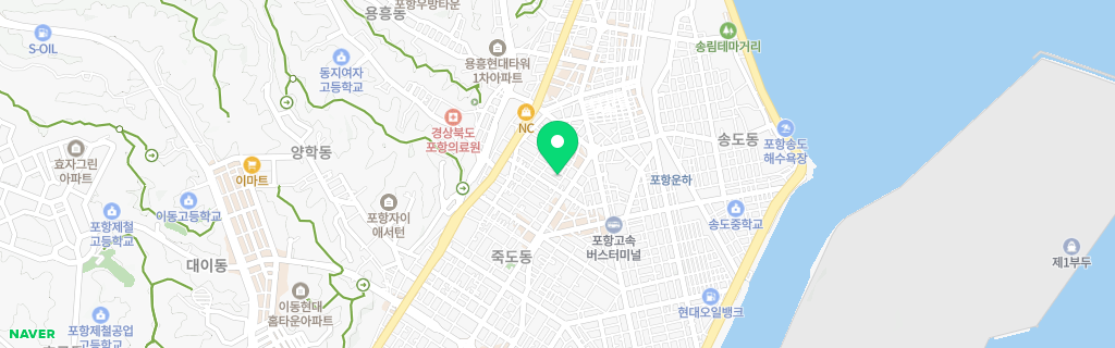 포항 죽도 네이버 지도