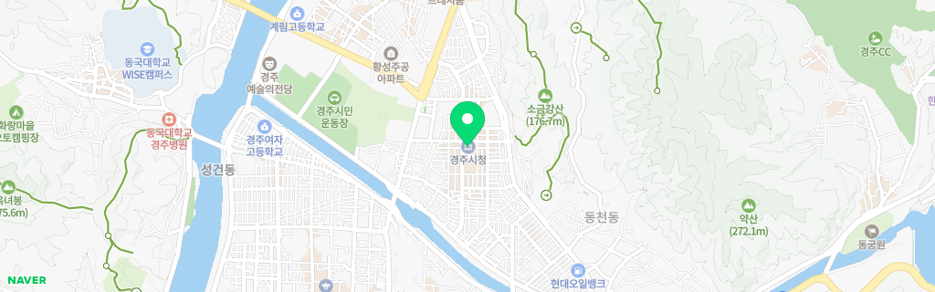 경주 네이버 지도