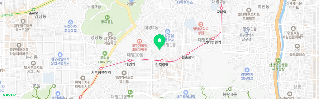 대구 대명 네이버 지도