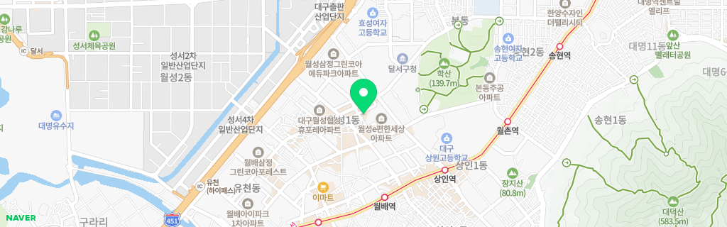 대구 월성 네이버 지도
