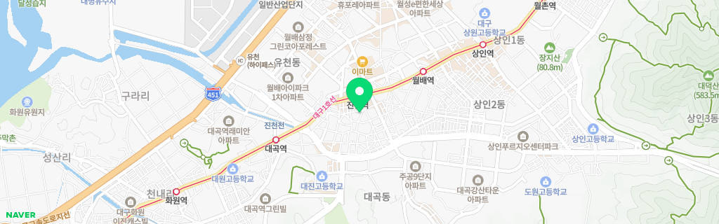 대구 진천 네이버 지도