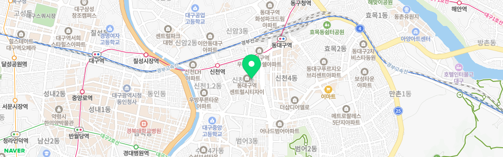 대구 신천 네이버 지도