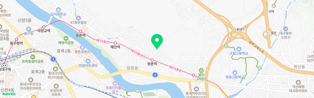 대구 해안 네이버 지도