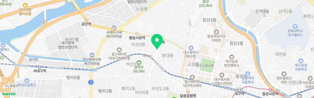 대구 원대 네이버 지도