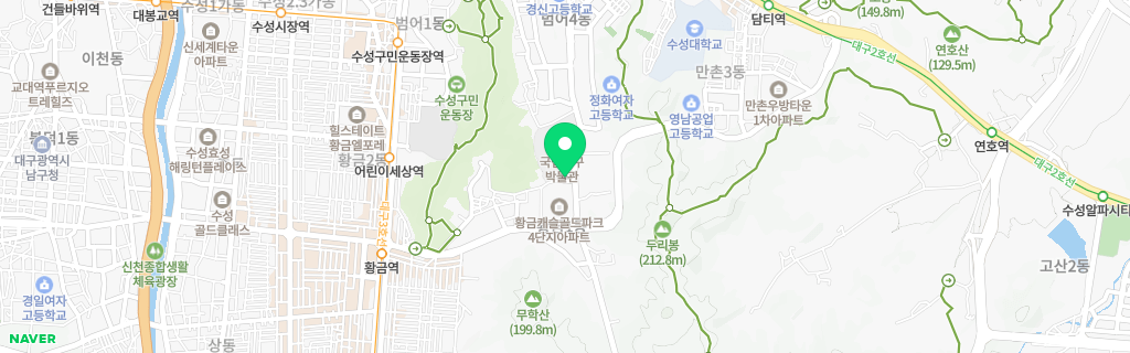 대구 황금 네이버 지도