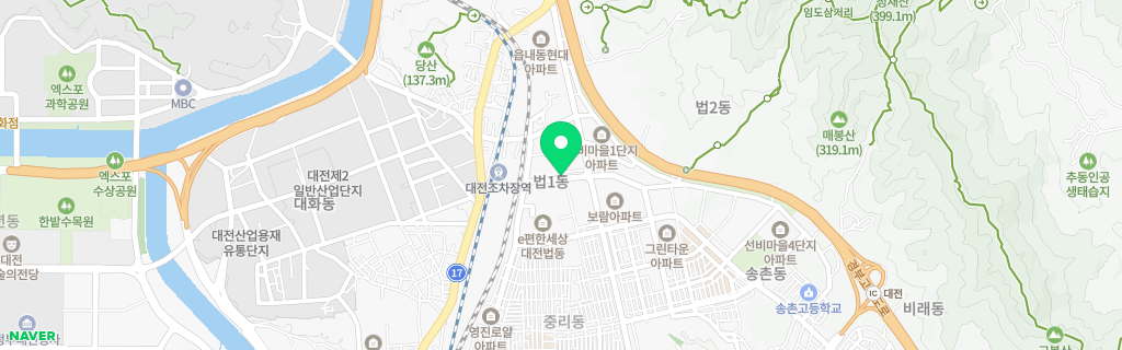 대전 법동 네이버 지도