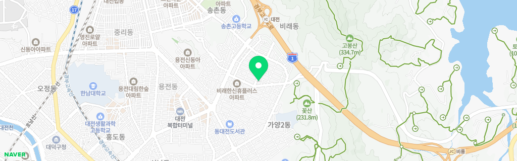 대전 비래 네이버 지도