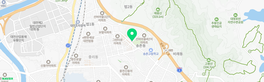 대전 송촌 네이버 지도