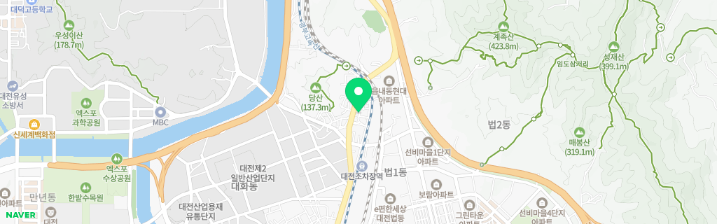 대전 회덕 네이버 지도