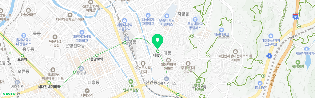 대전 대동 네이버 지도