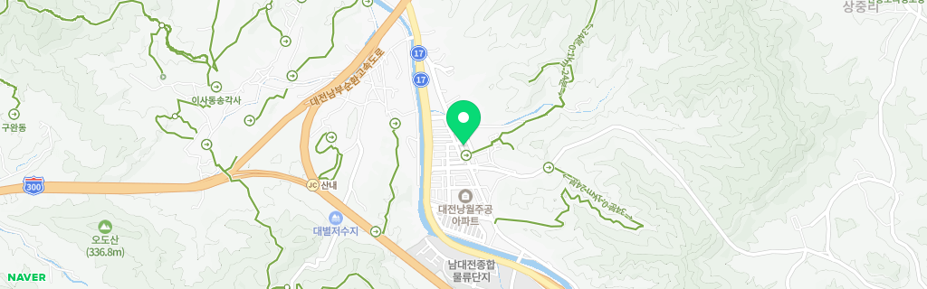 대전 산내 네이버 지도