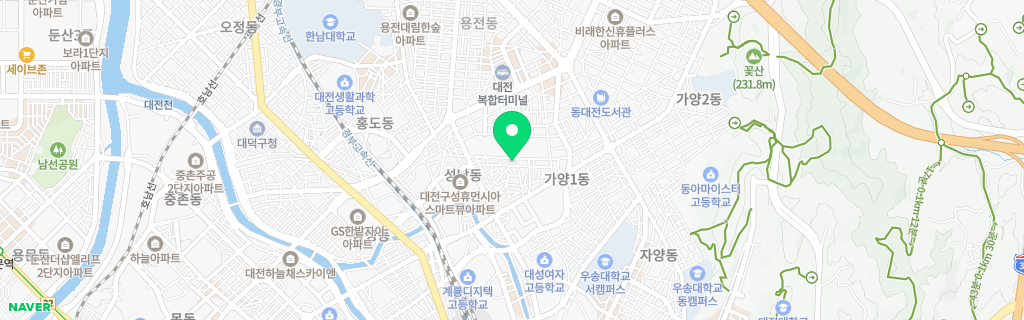 대전 성남 네이버 지도