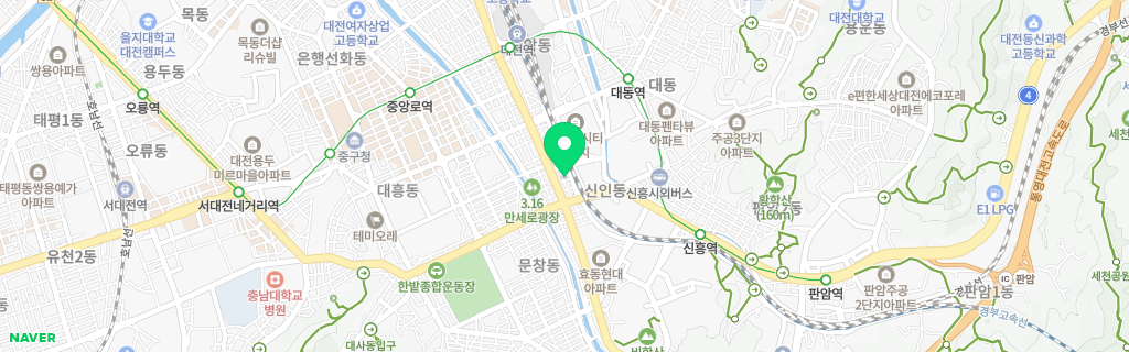 대전 신인 네이버 지도