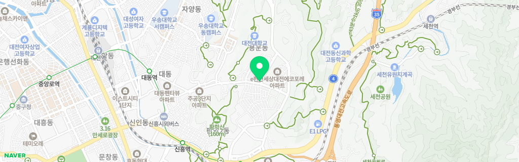 대전 용운 네이버 지도