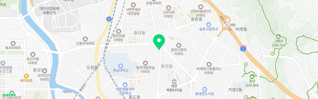 대전 용전 네이버 지도