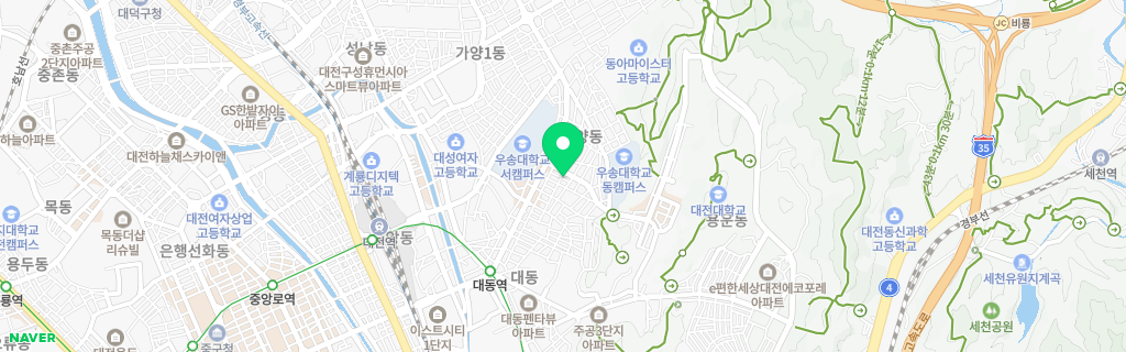 대전 자양 네이버 지도