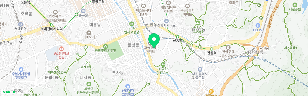 대전 효동 네이버 지도