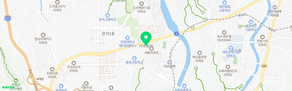 대전 가수원 네이버 지도
