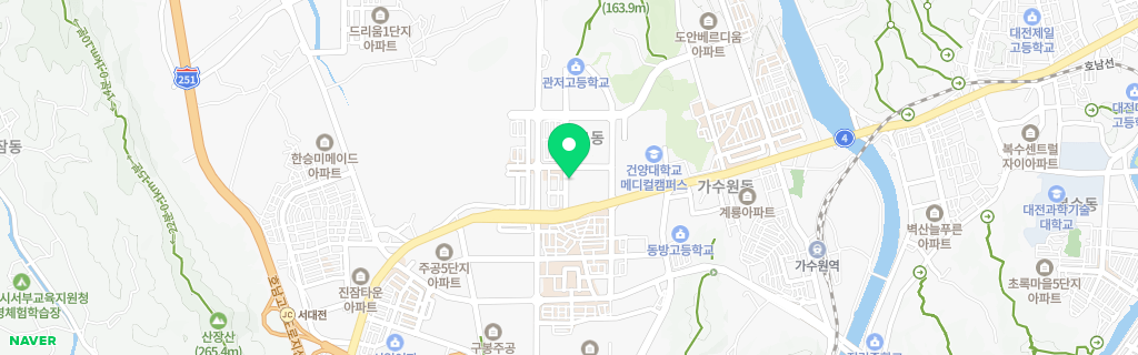 대전 관저 네이버 지도