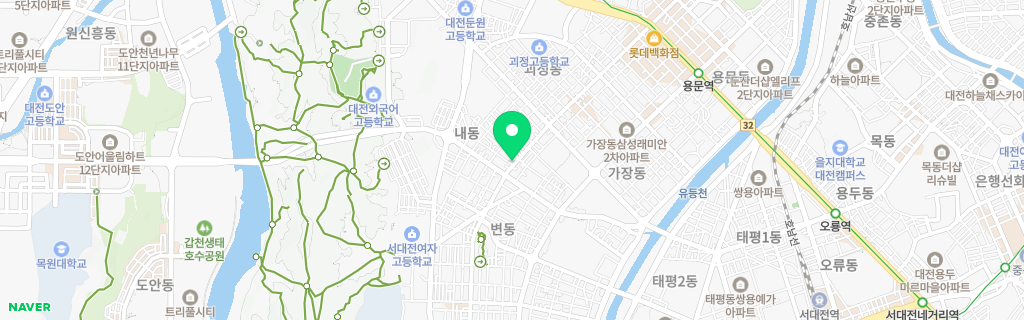 대전 내동 네이버 지도