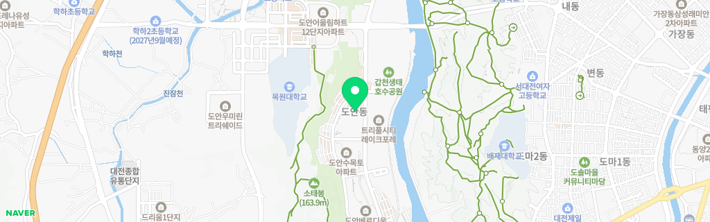 대전 도안 네이버 지도