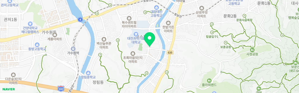 대전 복수 네이버 지도