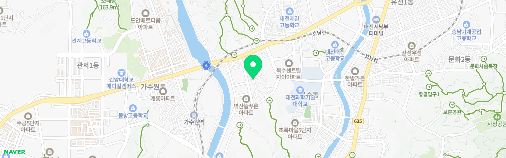 대전 정림 네이버 지도
