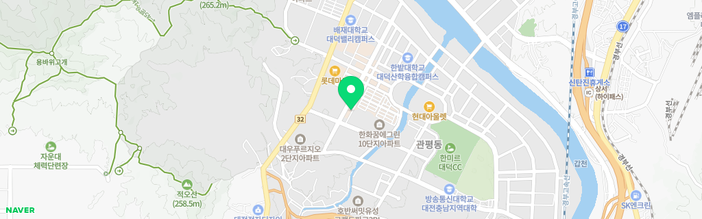 대전 관평 네이버 지도