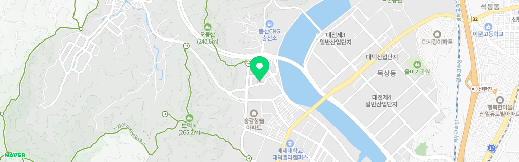 대전 구즉 네이버 지도