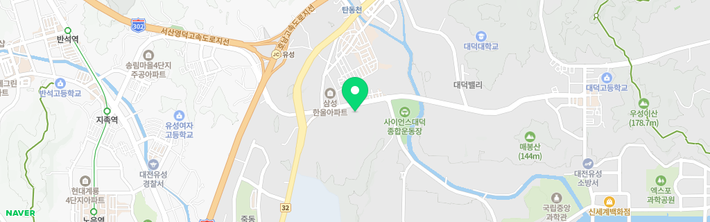대전 신성 네이버 지도