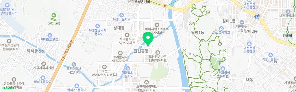 대전 원신흥 네이버 지도