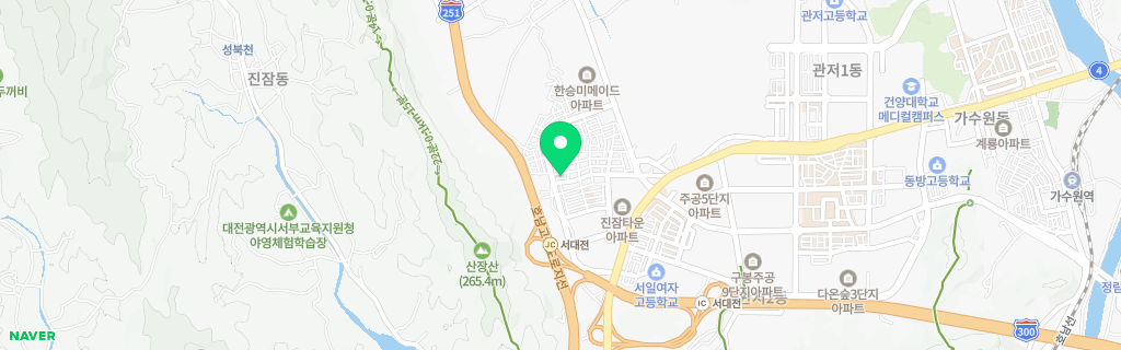대전 진잠 네이버 지도