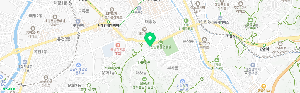 대전 대사 네이버 지도