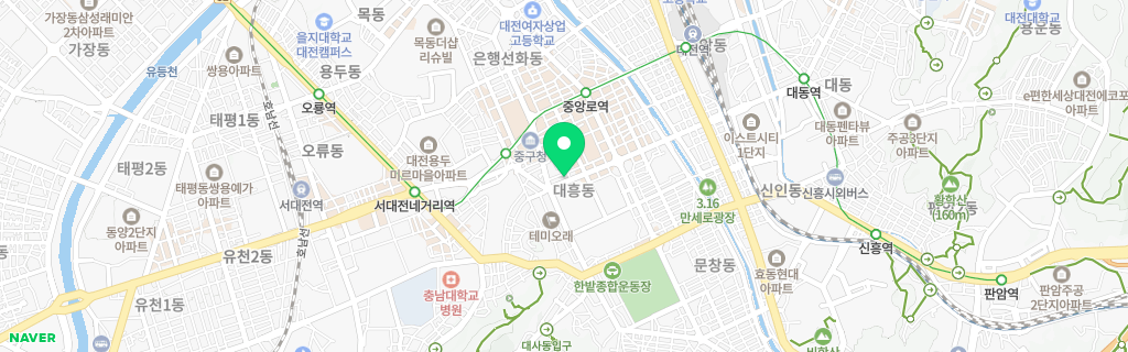 대전 대흥 네이버 지도