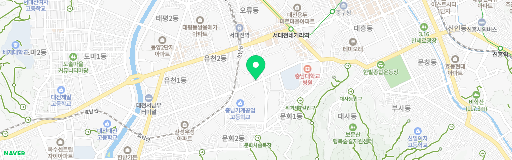 대전 문화 네이버 지도