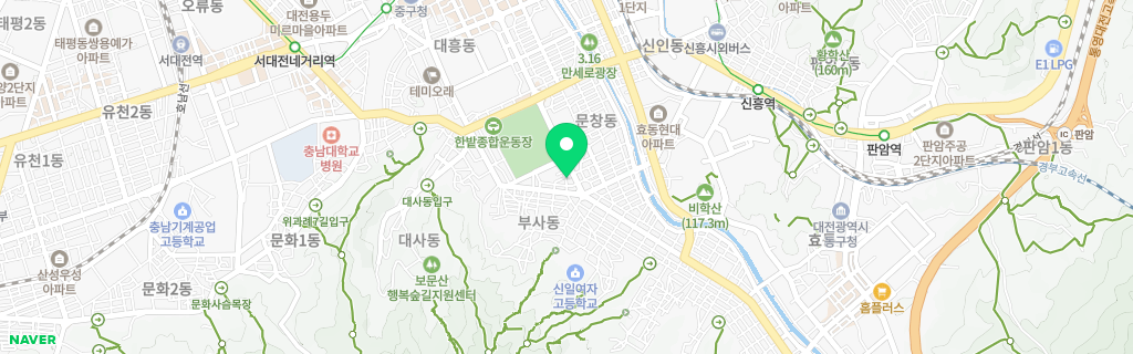 대전 부사 네이버 지도