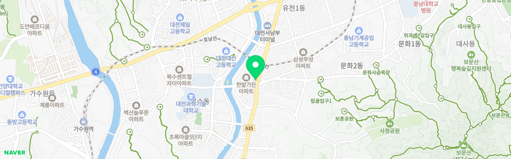 대전 산성 네이버 지도