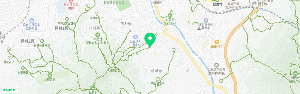 대전 석교 네이버 지도
