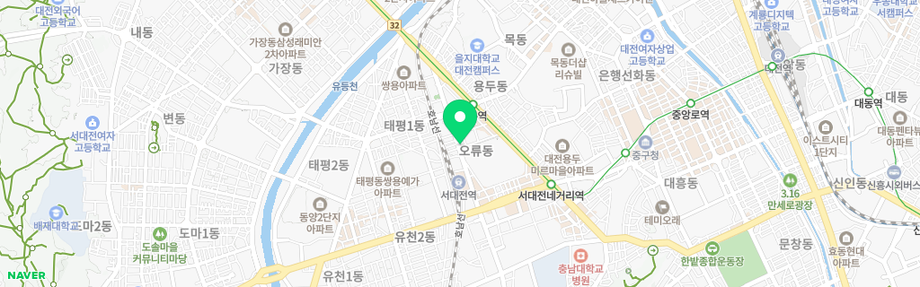 대전 오류 네이버 지도