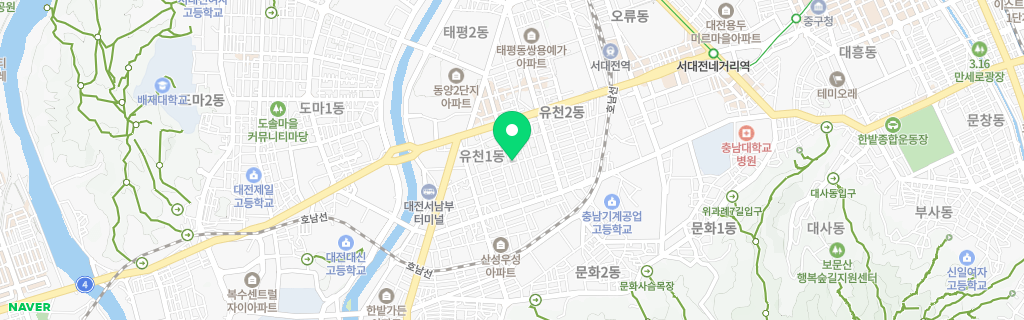 대전 유천 네이버 지도
