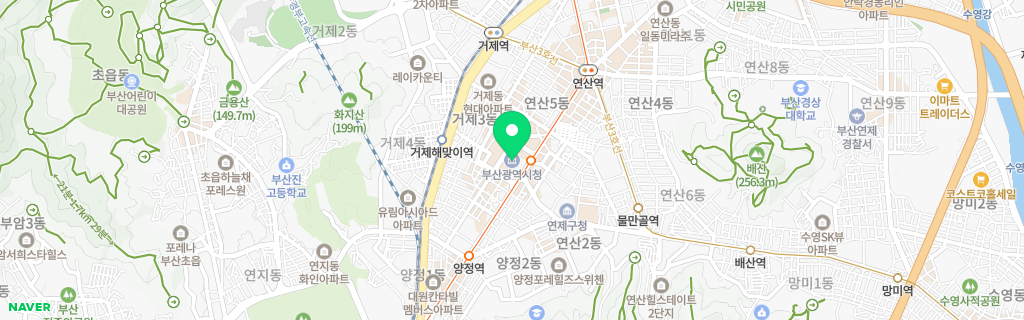부산 네이버 지도