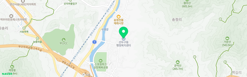 부산 선두구 네이버 지도