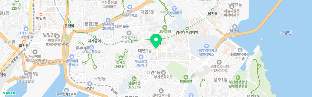 부산 대연 네이버 지도