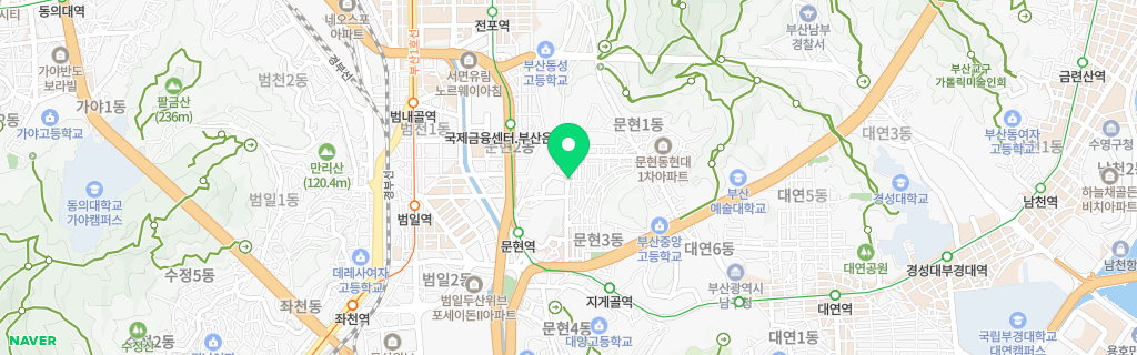 부산 문현 네이버 지도