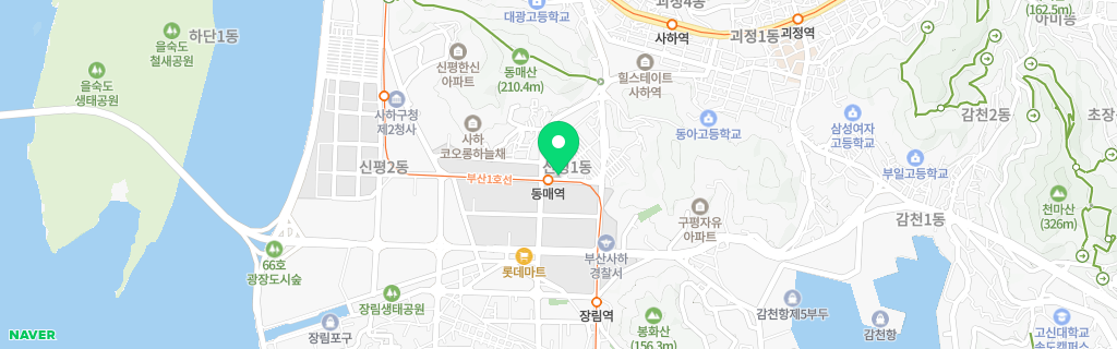 부산 신평 네이버 지도
