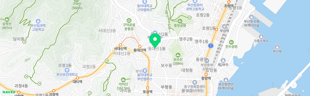 부산 동대신 네이버 지도